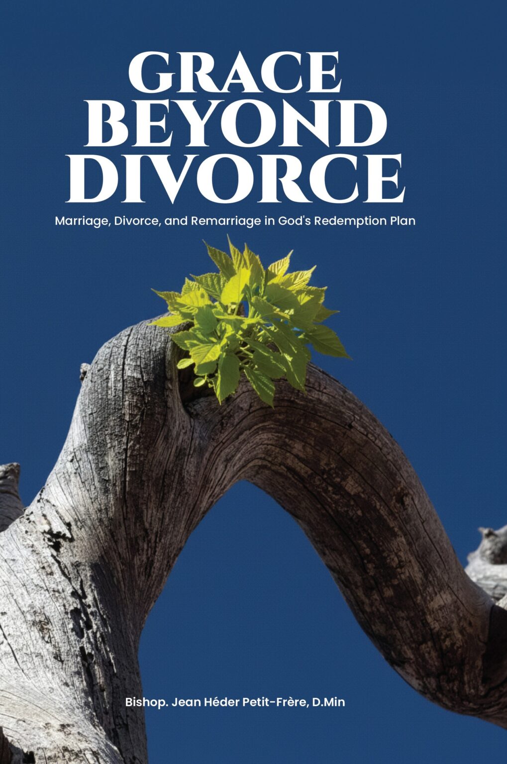 Front_Cover 01 EN GBD 1